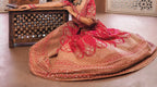 Pink Heritage Lehenga